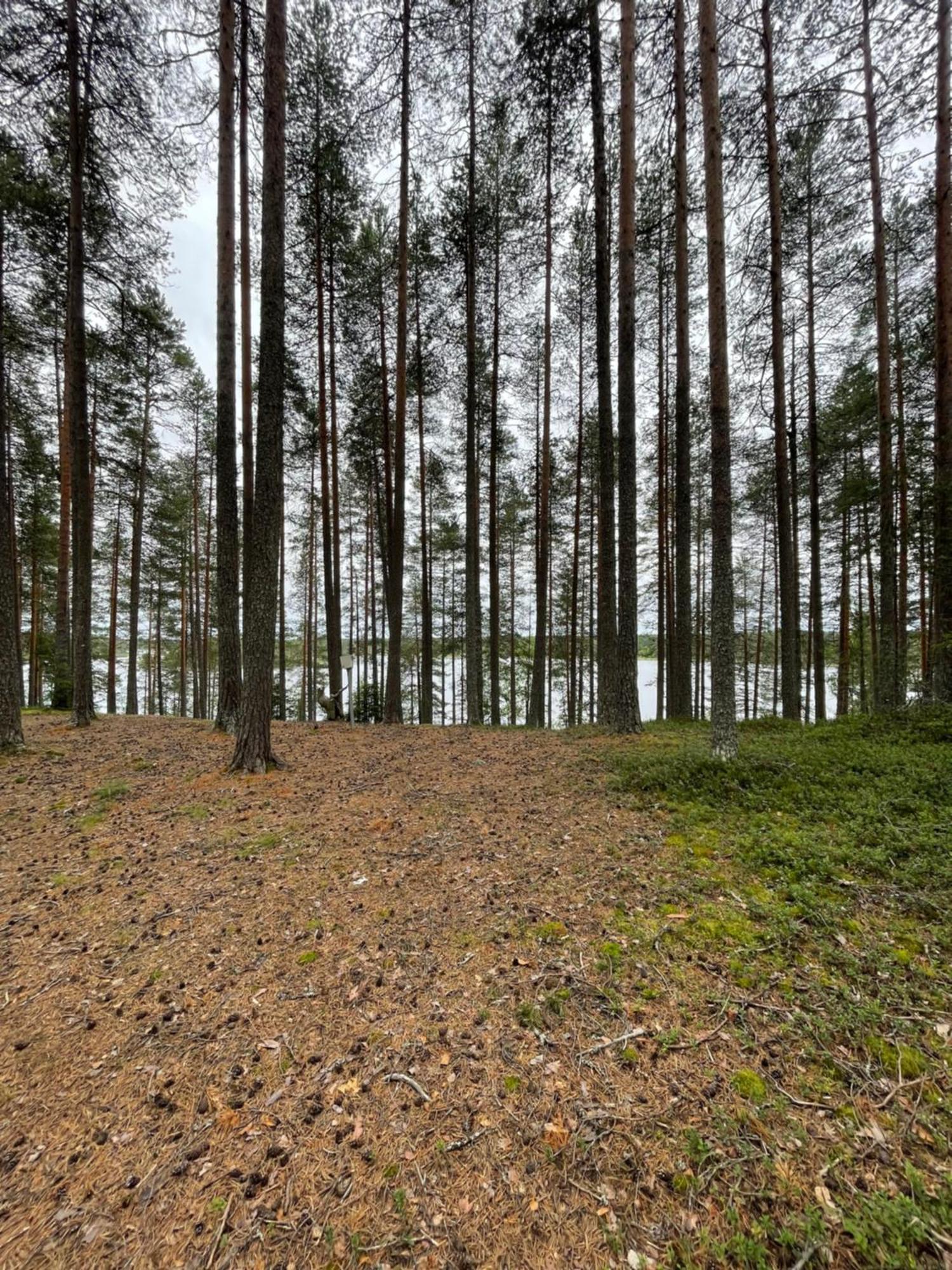 Laahtanen Campsite