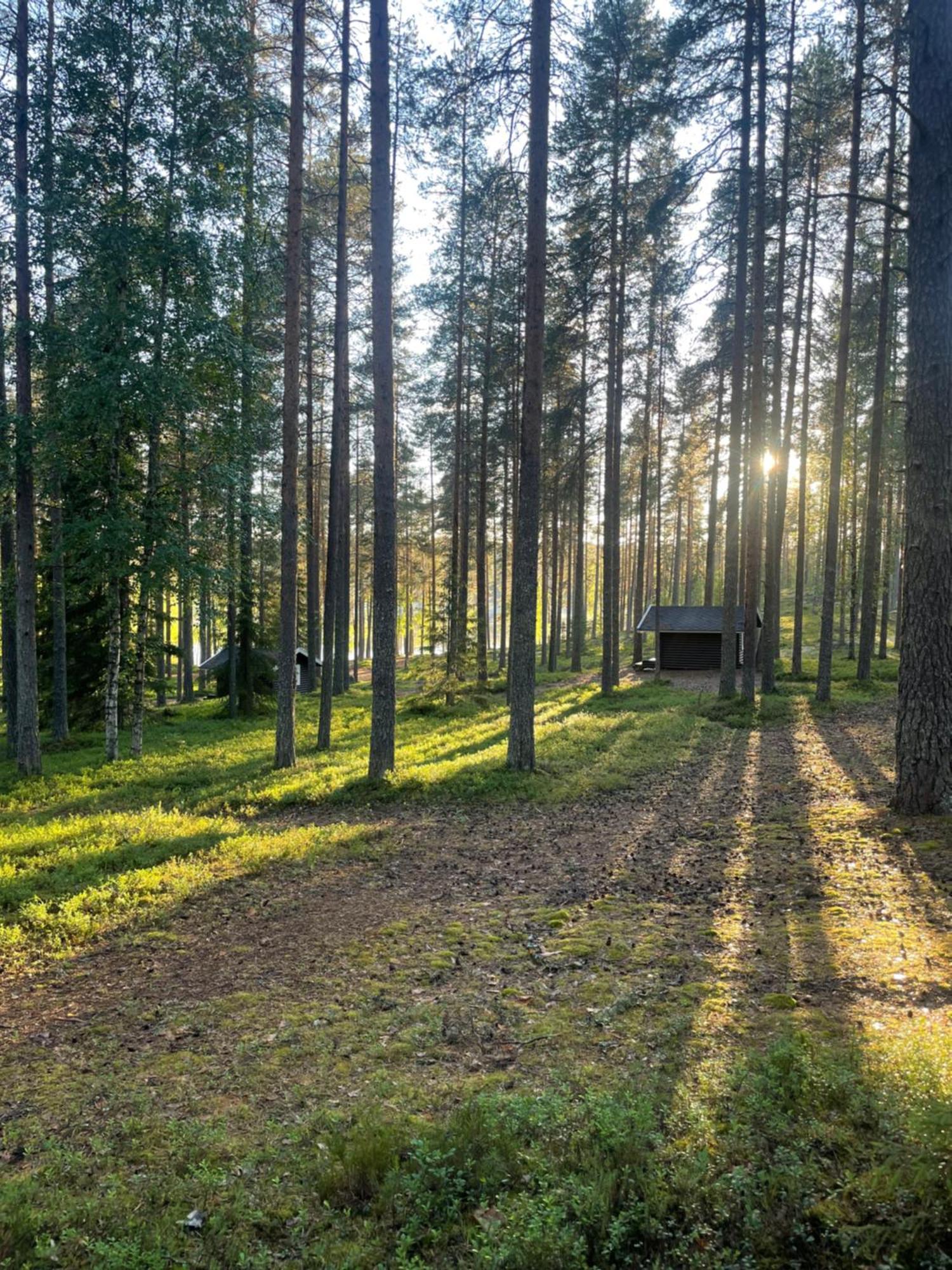 Laahtanen Ristijarvi